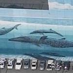 Wyland Whale Mural - 'The Blue Whales'
